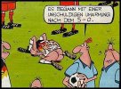bild_13.jpg