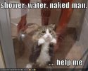 funny-pictures-cat-shower-naked-man.jpg