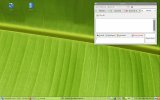 ubuntuscreenshot.jpg