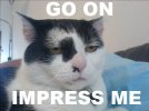 impress_me.jpg