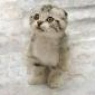 maus