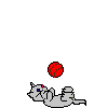 060.gif