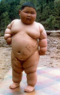 bauch1194.jpg