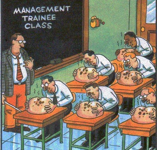 management-vi.jpg